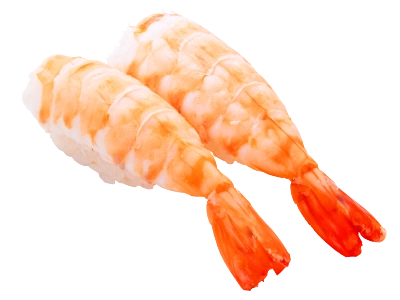 大海老