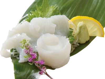 やりいか刺し