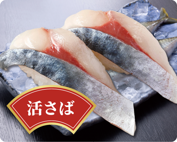 活さば